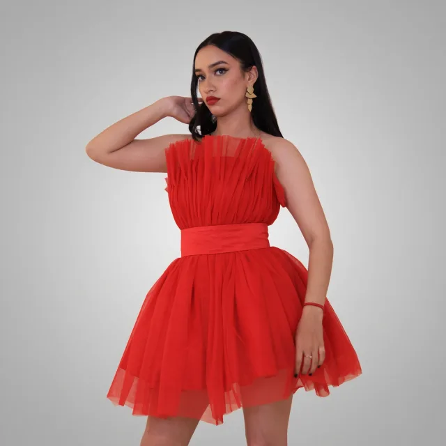 Crimson Ruffled Tulle Mini Dress